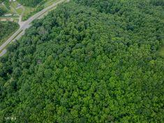 Photo #10: 0 Turkey Cove North Of 58a