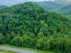 Photo #19: 0 Turkey Cove North Of 58a