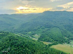Photo #20: 0 Turkey Cove North Of 58a