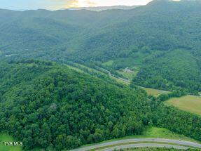 Photo #21: 0 Turkey Cove North Of 58a