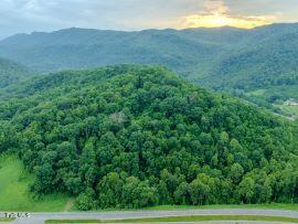 Photo #23: 0 Turkey Cove North Of 58a