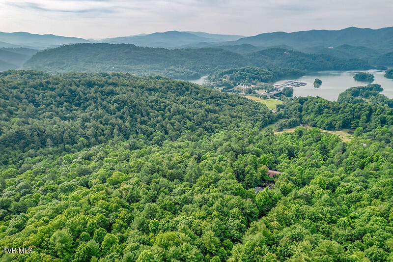 Photo #76: 191 Bear Ridge Drive