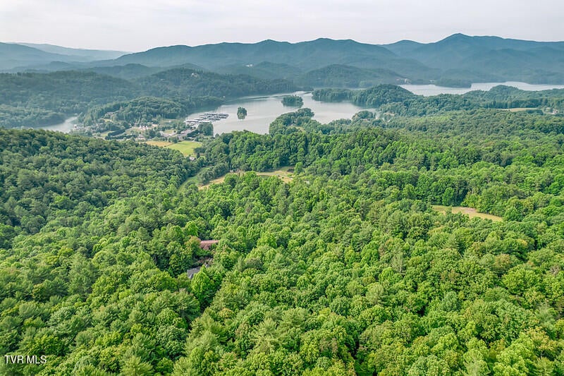 Photo #77: 191 Bear Ridge Drive