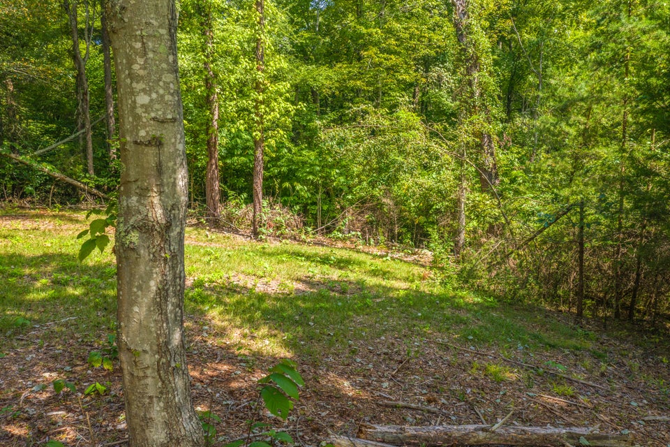 Photo #5: Lot 30 Walnut Bend Drive
