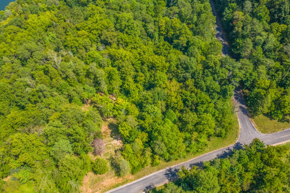 Photo #7: Lot 30 Walnut Bend Drive