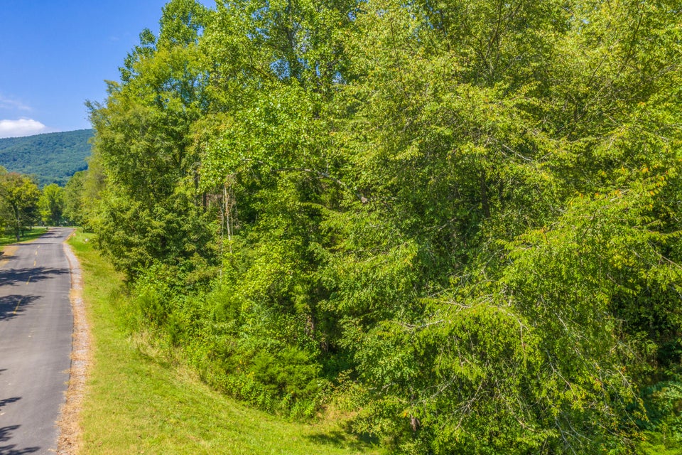 Photo #9: Lot 30 Walnut Bend Drive