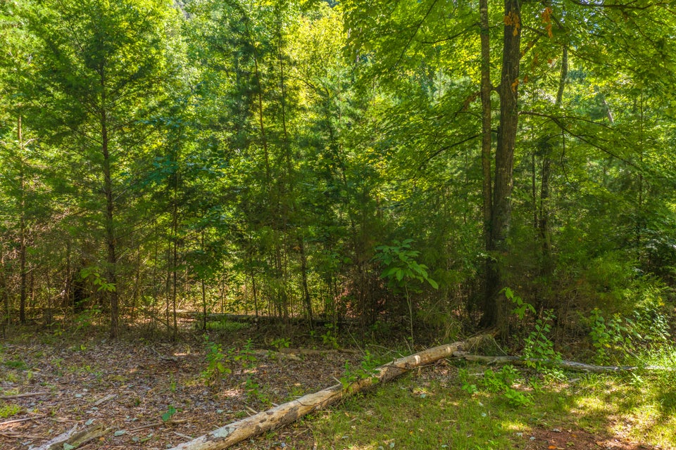 Photo #12: Lot 30 Walnut Bend Drive