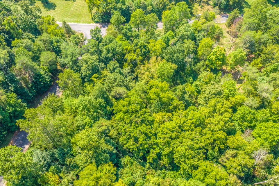 Photo #13: Lot 30 Walnut Bend Drive
