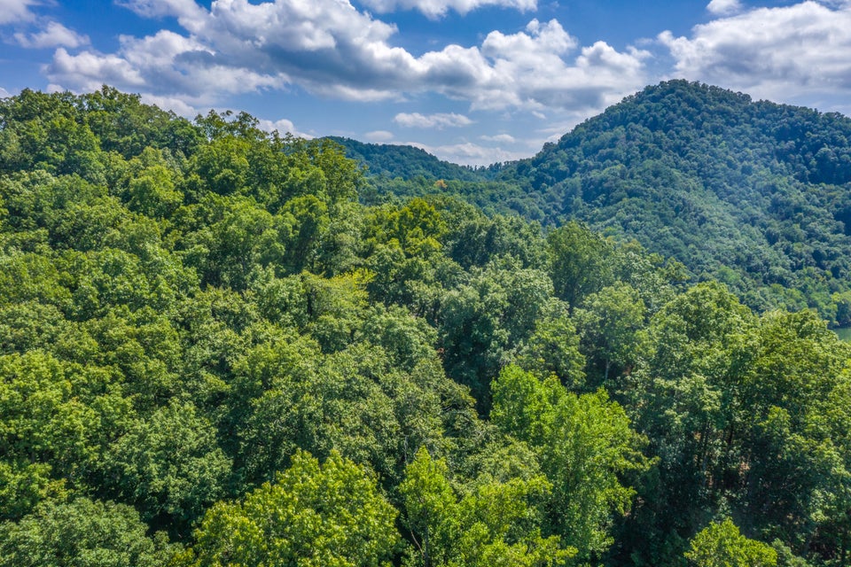 Photo #18: Lot 30 Walnut Bend Drive