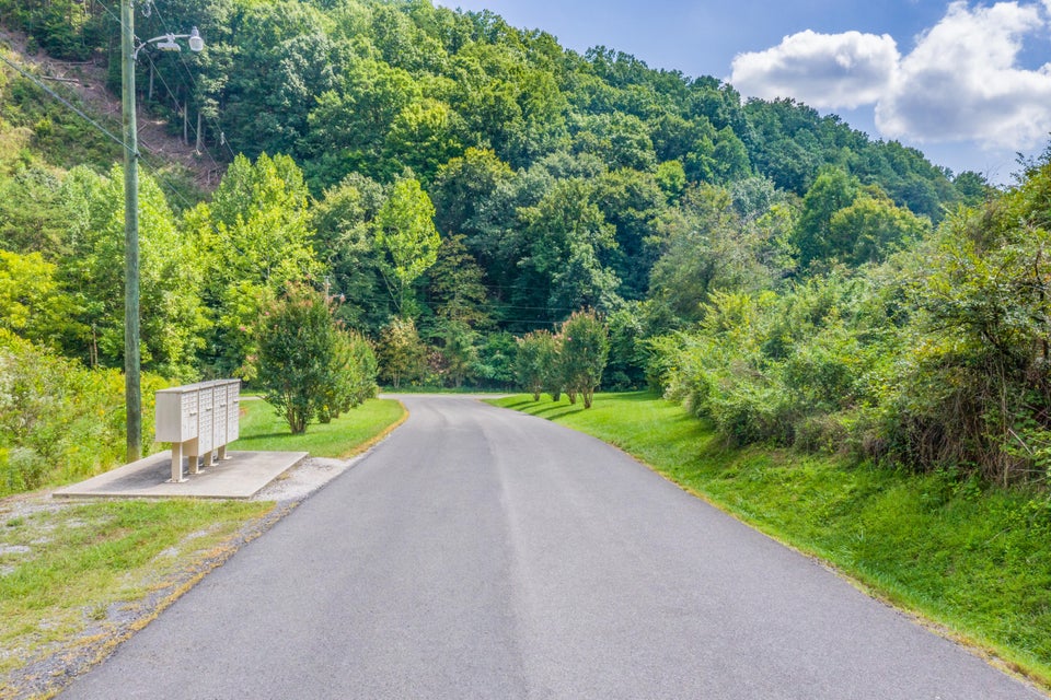 Photo #28: Lot 30 Walnut Bend Drive