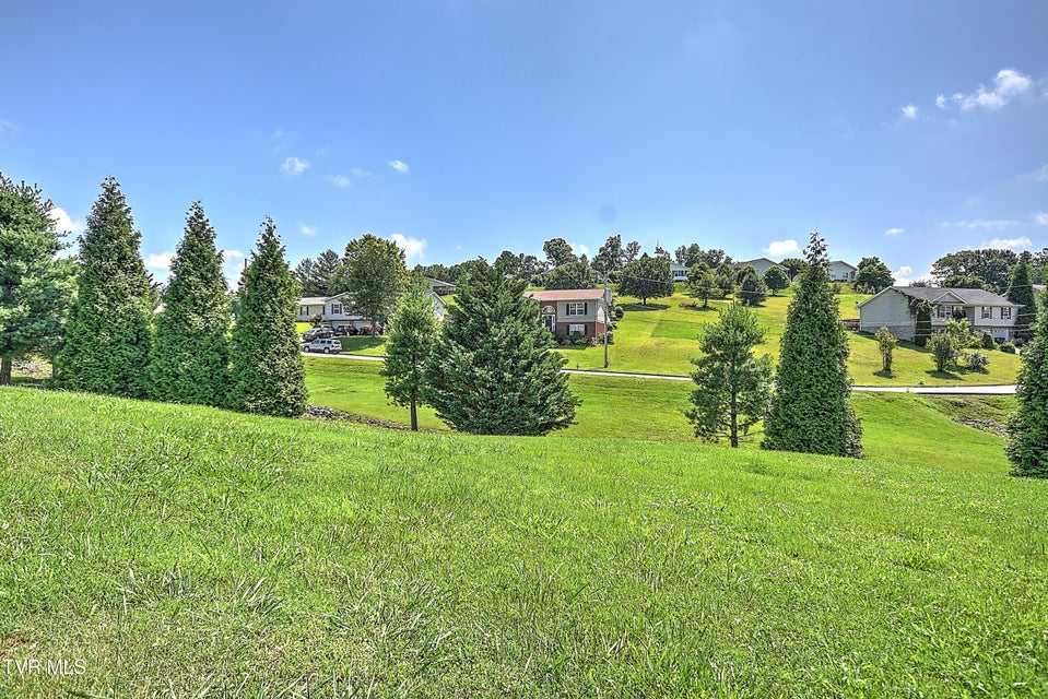 Photo #39: 713 Teasel Drive