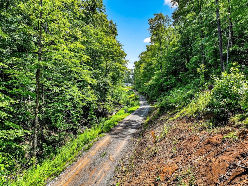 Photo #67: 718 Mullins Drive