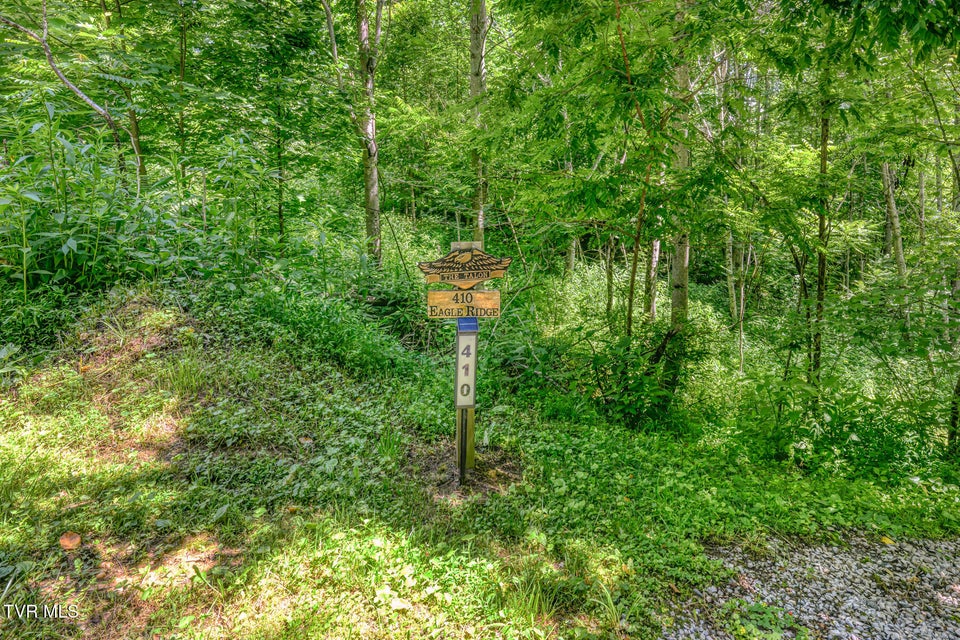 Photo #59: 410 Eagle Ridge Road
