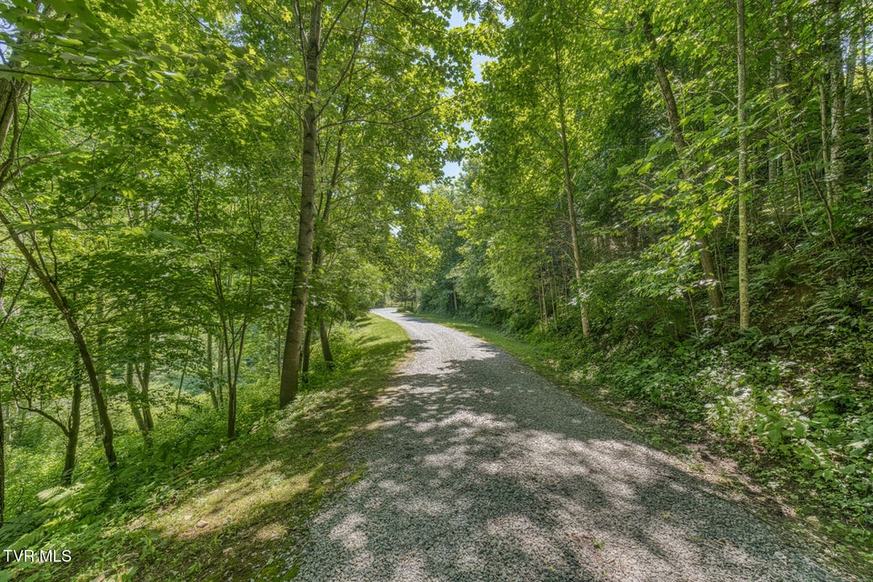 Photo #60: 410 Eagle Ridge Road
