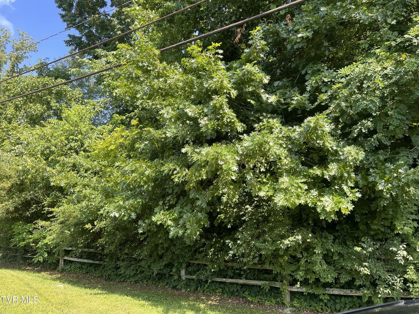 Photo #6: Lot 21 Ledges Drive