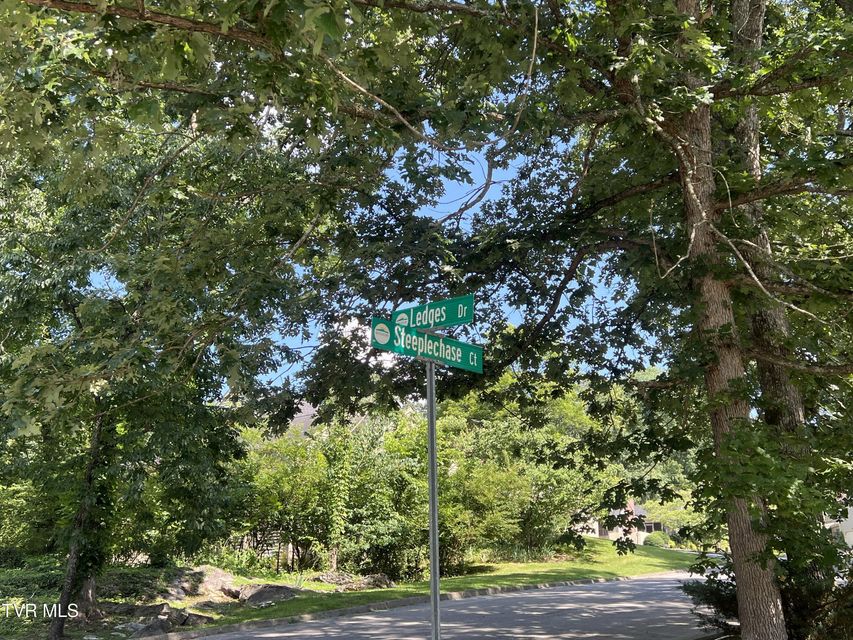 Photo #7: Lot 21 Ledges Drive