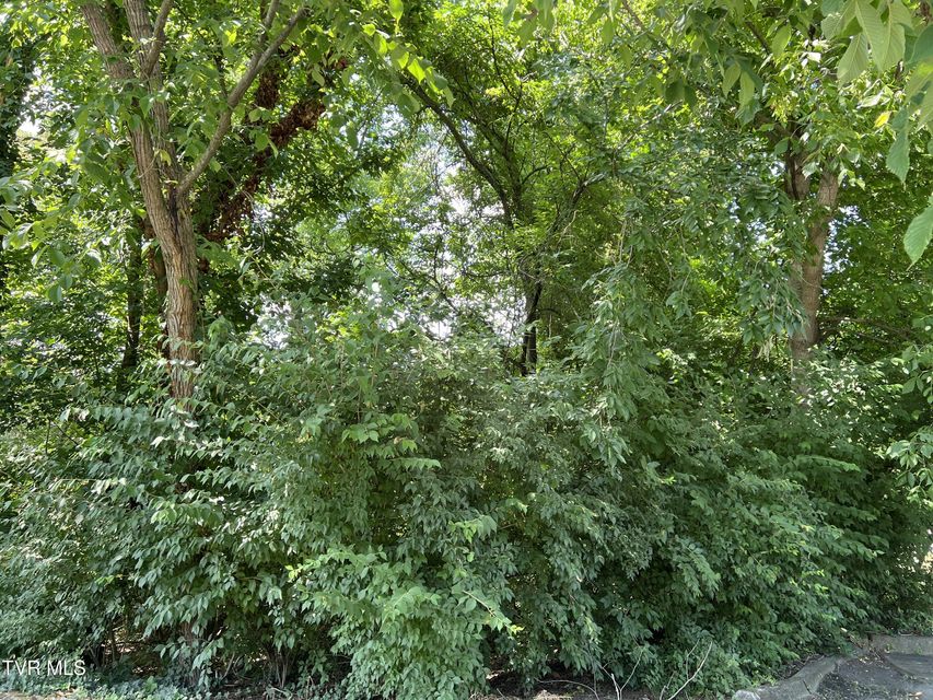 Photo #8: Lot 21 Ledges Drive