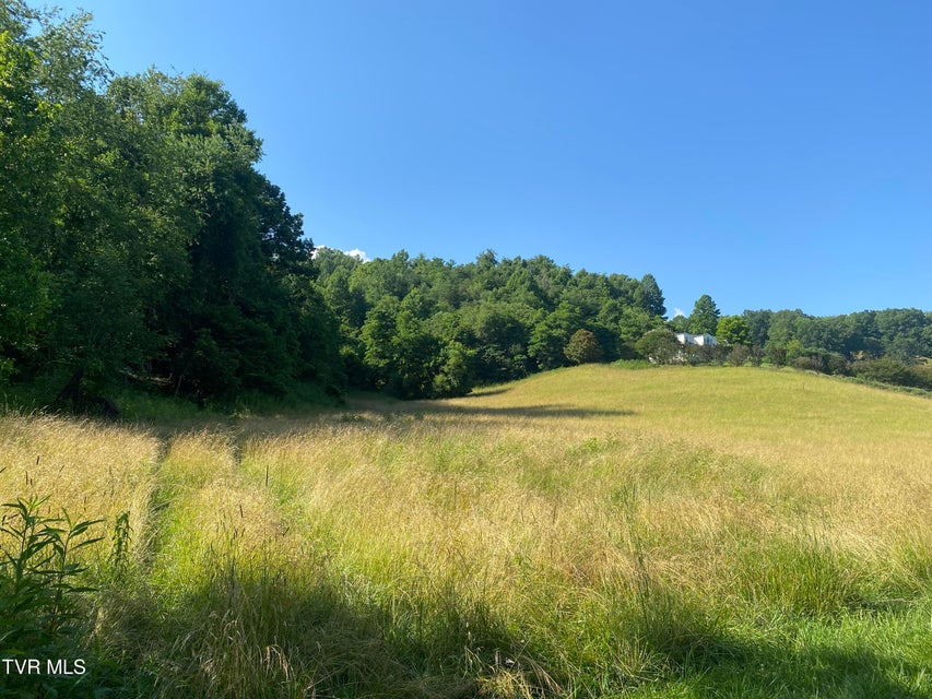 Photo #3: 0 Rich Valley (9.23 Ac) Road
