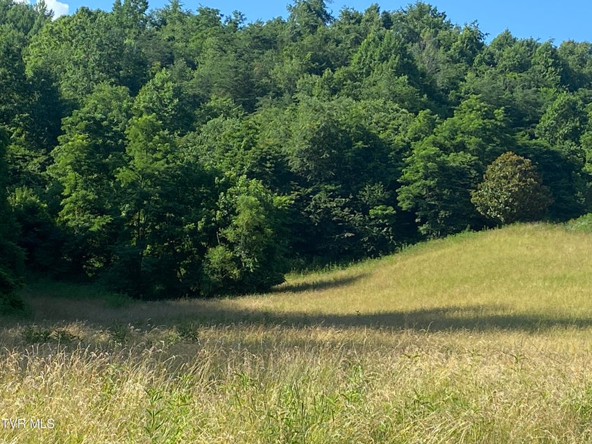 Photo #4: 0 Rich Valley (9.23 Ac) Road