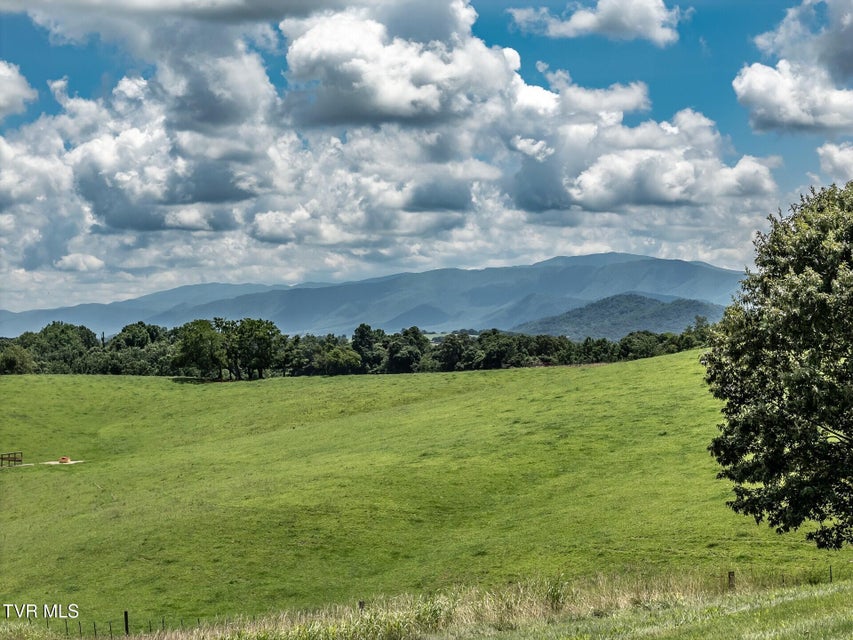 Photo #8: 3655 Allens Bridge Road