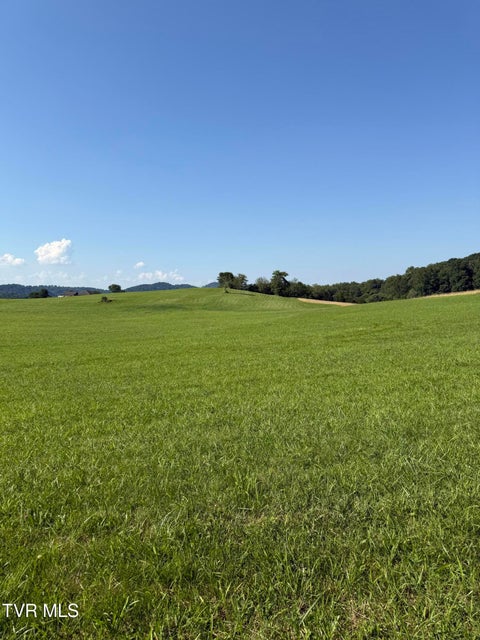 Photo #2: Lot 3 Mahoney Property, Hwy 81 N