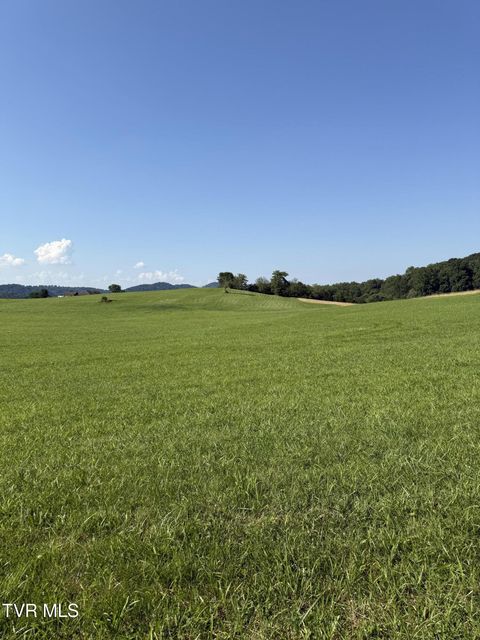 Photo #2: Lot 5 Mahoney Property, Hwy 81 N
