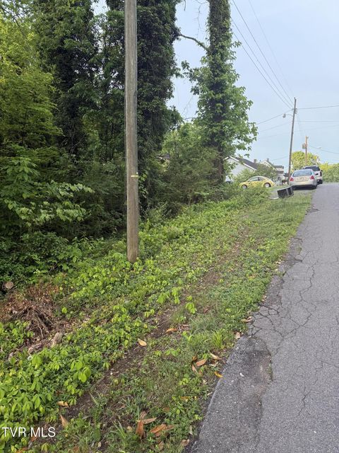 Photo #5: Lot 14 Ashley Street