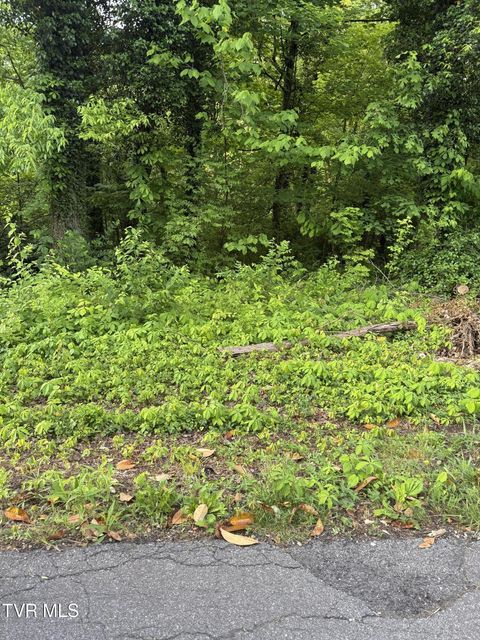 Photo #6: Lot 14 Ashley Street