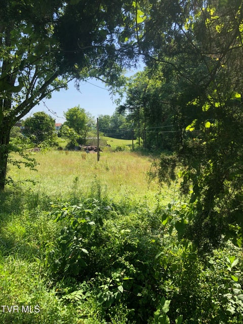 Photo #7: 467 Oak Glen Circle