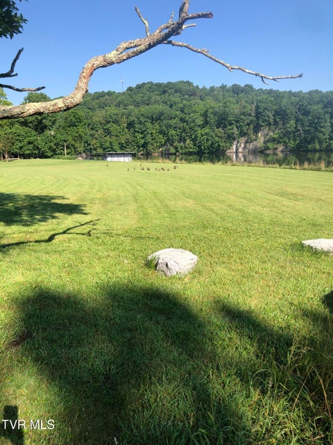 Photo #5: 463 Gottland Shoals Road
