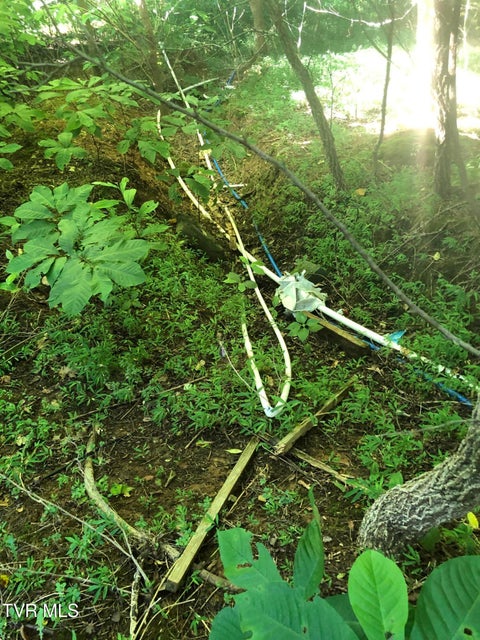 Photo #7: 463 Gottland Shoals Road