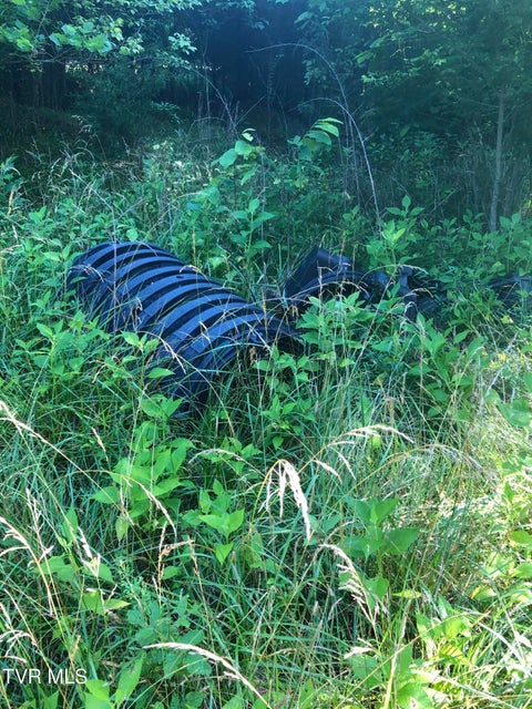 Photo #9: 463 Gottland Shoals Road
