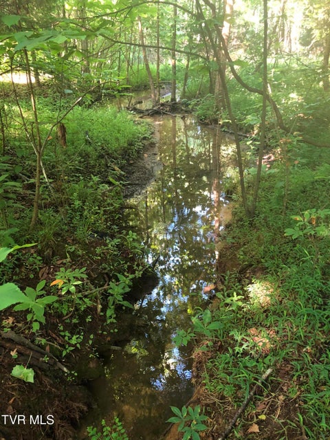 Photo #10: 463 Gottland Shoals Road