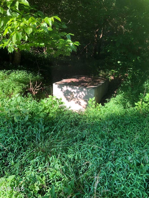 Photo #11: 463 Gottland Shoals Road
