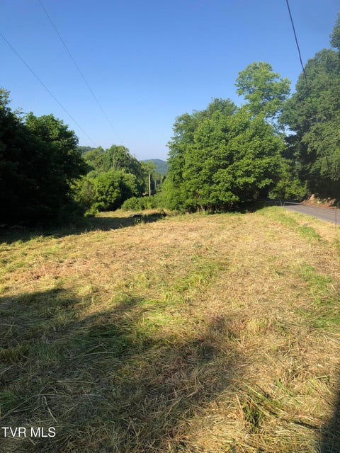 Photo #14: 463 Gottland Shoals Road