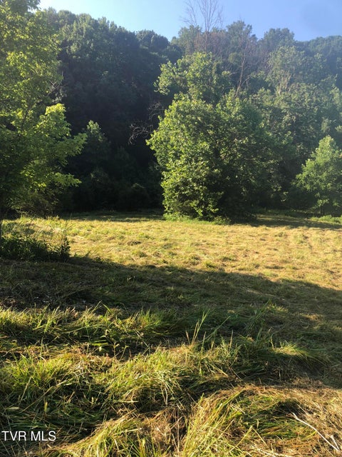 Photo #12: 481 Gottland Shoals Road