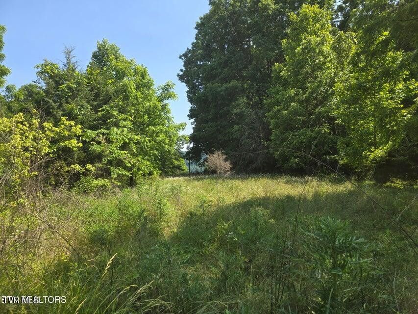 Photo #2: Tbd Union Church Road