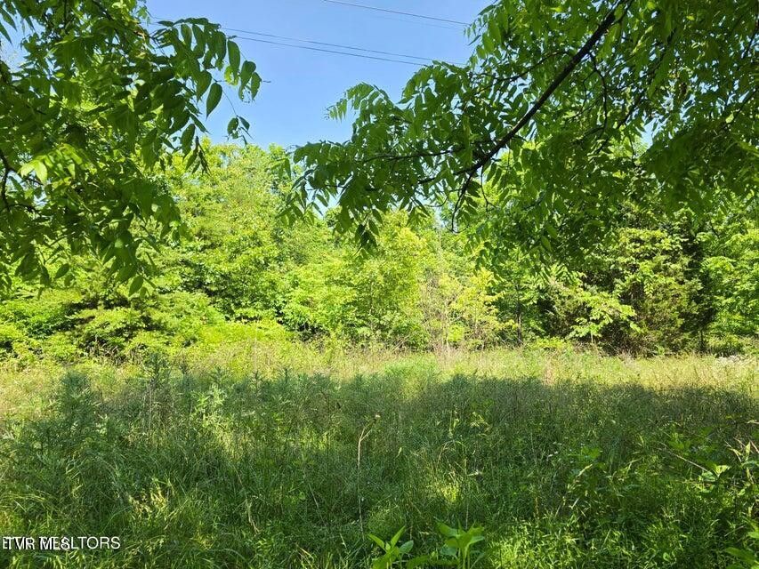 Photo #5: Tbd Union Church Road