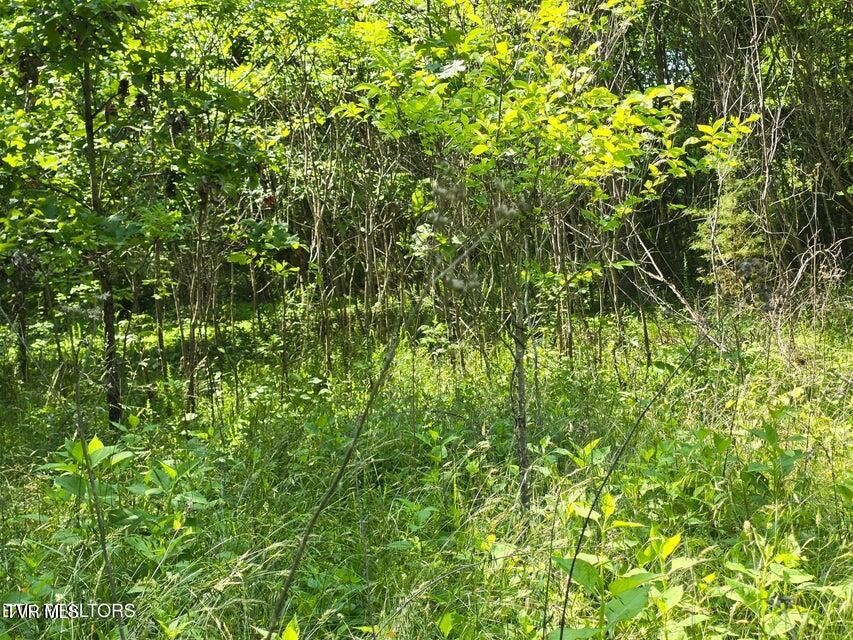 Photo #6: Tbd Union Church Road
