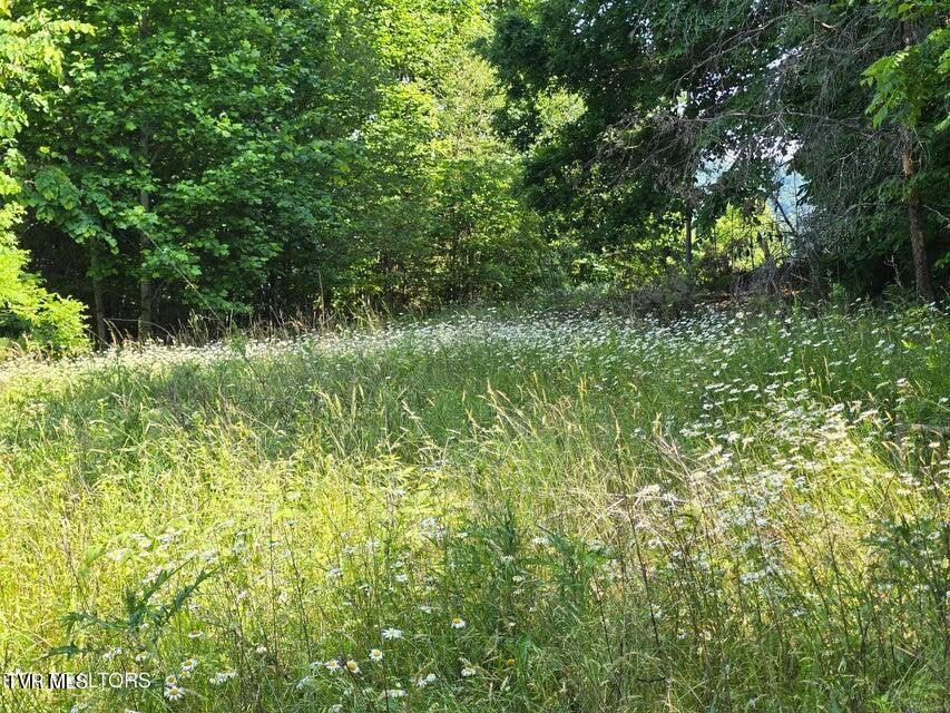 Photo #8: Tbd Union Church Road