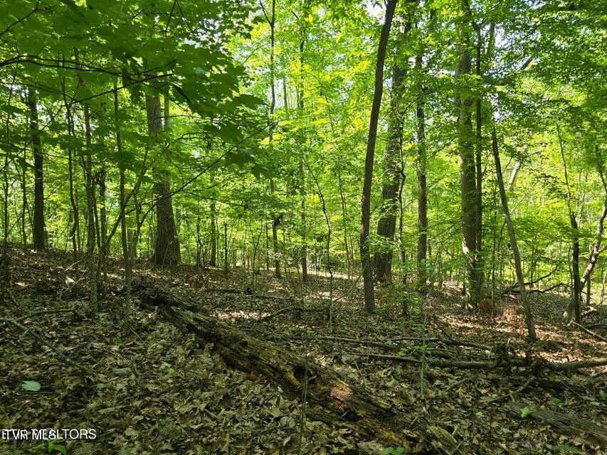 Photo #9: Tbd Union Church Road