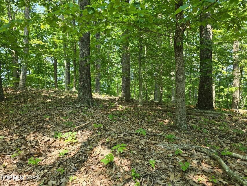 Photo #10: Tbd Union Church Road