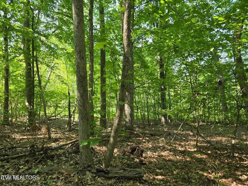 Photo #14: Tbd Union Church Road