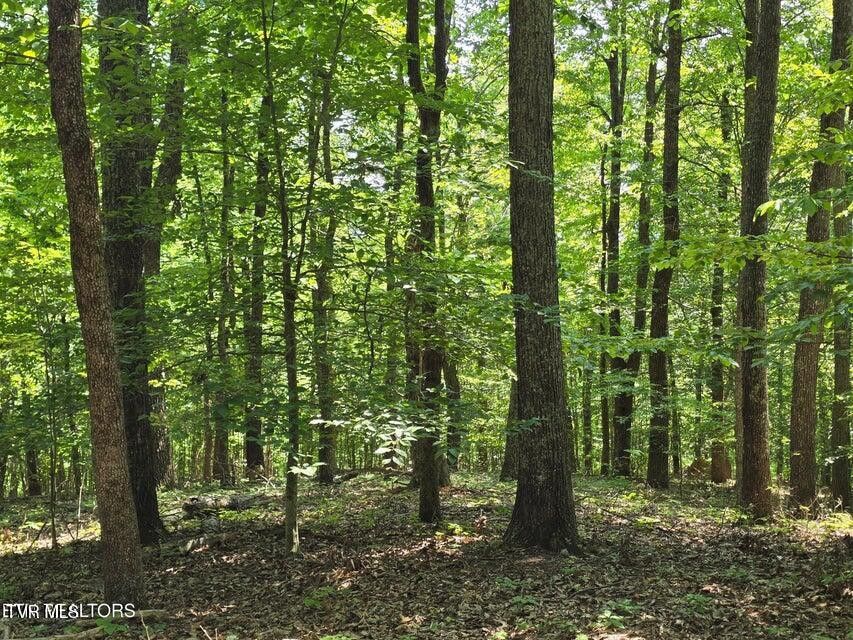 Photo #16: Tbd Union Church Road