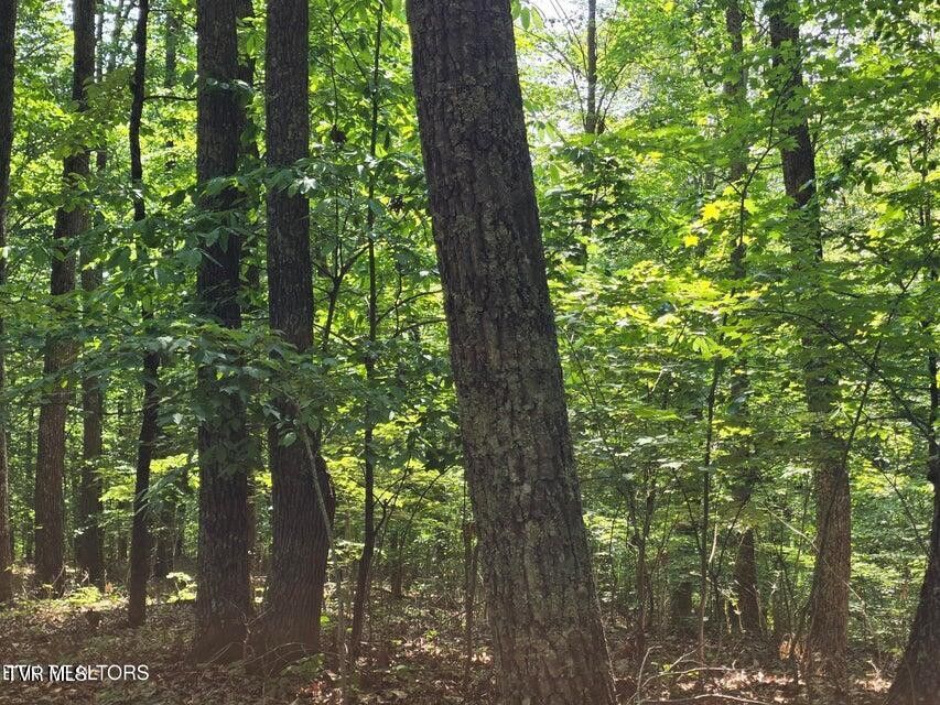 Photo #20: Tbd Union Church Road