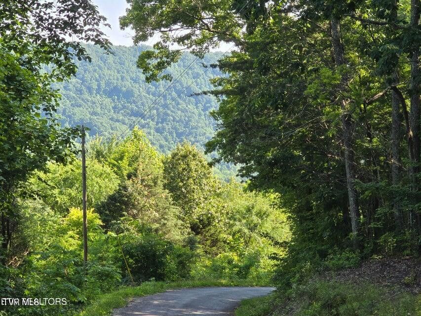 Photo #32: Tbd Union Church Road