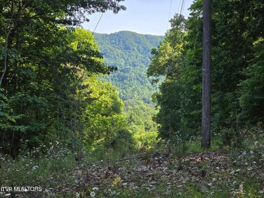 Photo #33: Tbd Union Church Road