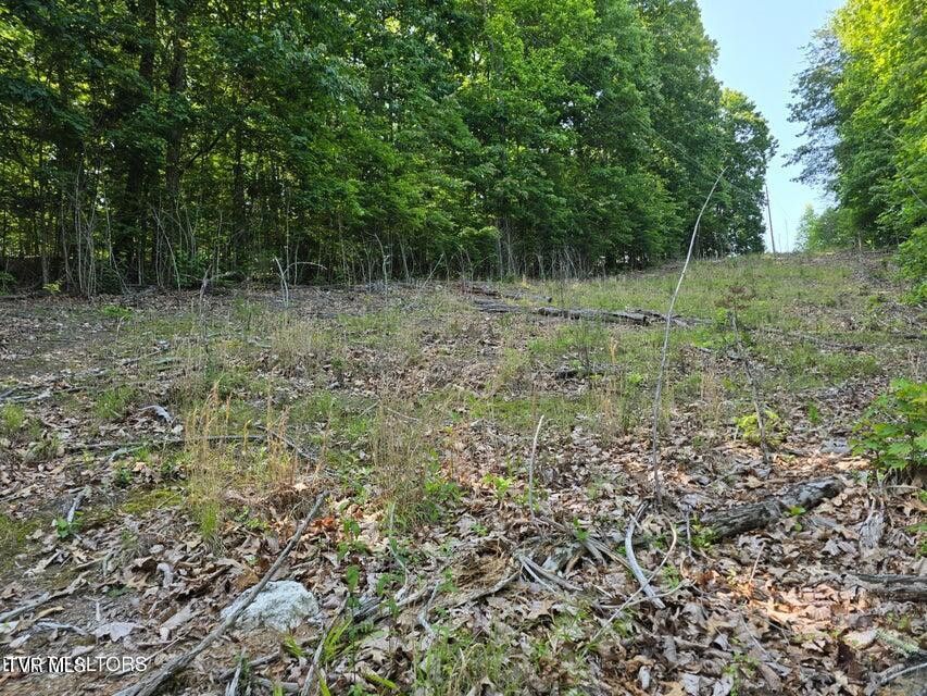 Photo #34: Tbd Union Church Road
