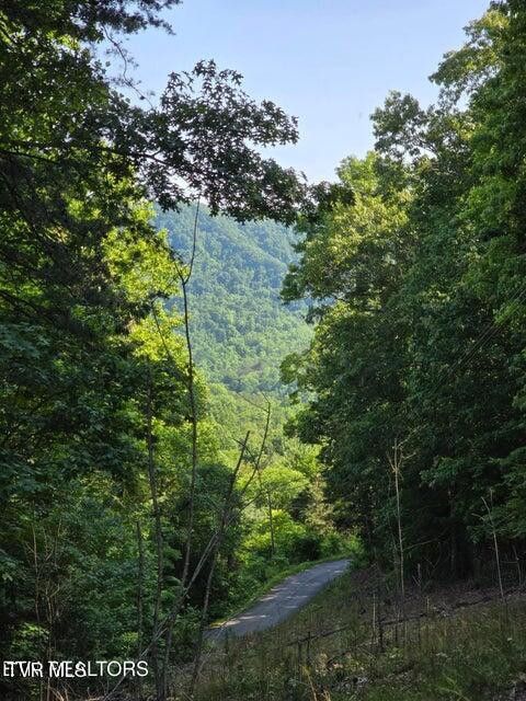 Photo #36: Tbd Union Church Road
