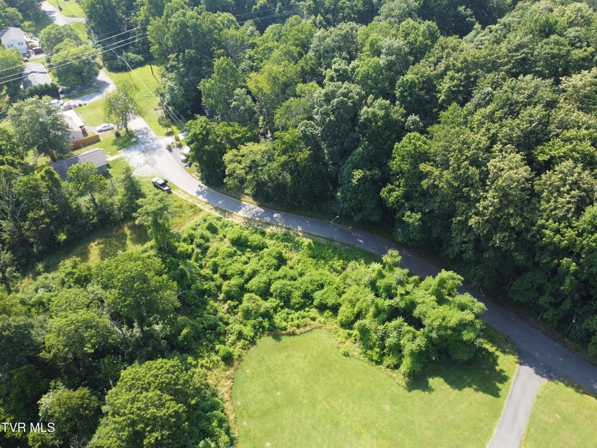 Photo #3: 0 Lynn Lane